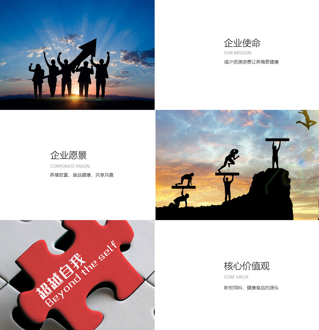 球盟会官网ios(体育)官方网站IOS(图1)